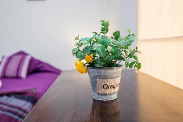 Pier 242 Miraflores B&B リマ 部屋 写真